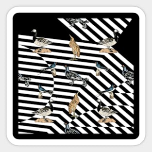 BW Birds pattern Sticker